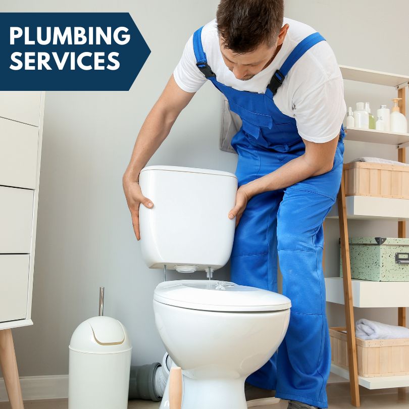 Plumbing Company in Alta, IA